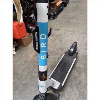 BIRD Segway S100 E-Scooter