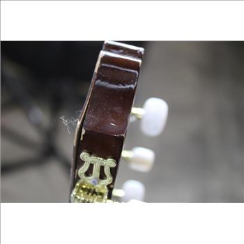 Bonplay Acoustic Guitar