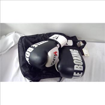 Boxing Gloves And Backpack Lot, 2 Pieces