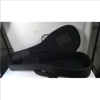 Breedlove Guitar Case