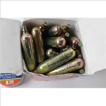 C02 Pellet Gun With Pellets And C02 Cannisters