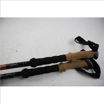 Cascade Mountain Tech Trekking Pole
