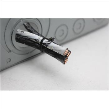 Challenger Electric Service Panel