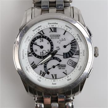 Citizen Eco Drive Perpetual Calendar Watch
