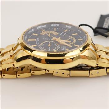 Citizen Eco-Drive Perpetual Calendar Watch