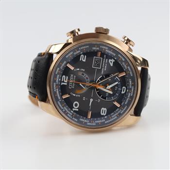 Citizen World Time A-T Watch
