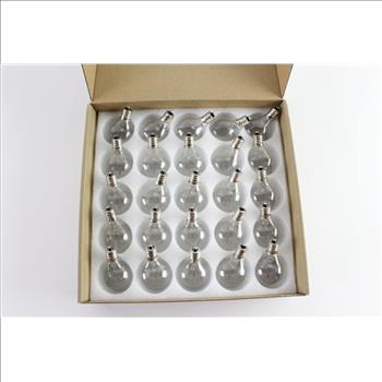 Clear Globe Light Bulbs, 25 Pieces