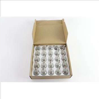 Clear Globe Light Bulbs, 25 Pieces
