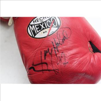 Cleto Reyes Signed Larry Holmes Boxing Gloves