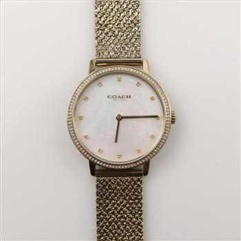Coach Audrey Mother Of Pearl Mesh Bracelet Watch