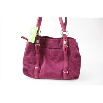 Coach Handbag, D1073-15402