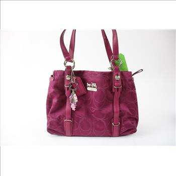 Coach Handbag, D1073-15402