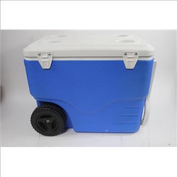 Coleman Cooler
