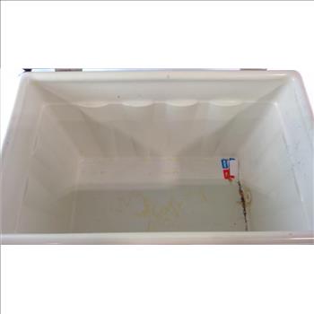 Coleman Cooler