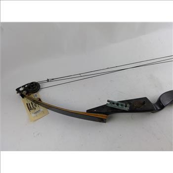 Compound Bow