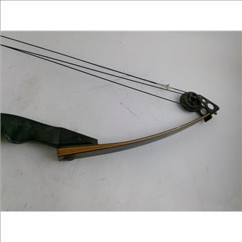 Compound Bow
