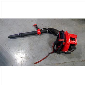 Craftsman Backpack Blower