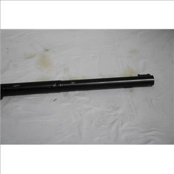 Daisy, Buck Model 105 BB Air Rifle