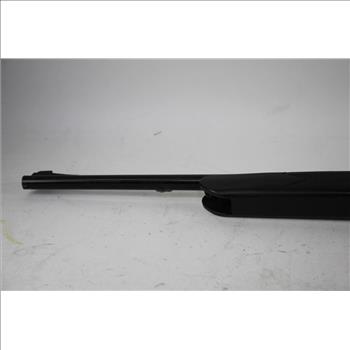 Daisy Powerline 35 BB Rifle