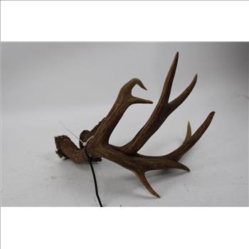 Deer Antlers