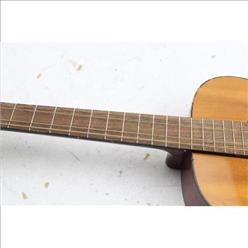 Delta Acoustic Guitar