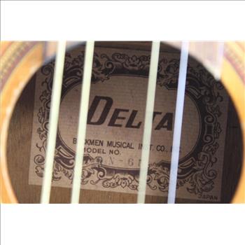 Delta Acoustic Guitar