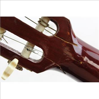 Delta Acoustic Guitar