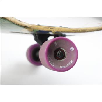 Discus Fish Longboard