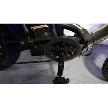 Dolphin Ecotric E-Bike