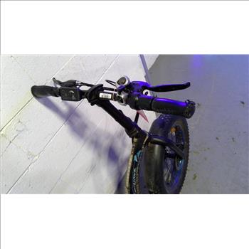Dolphin Ecotric E-Bike