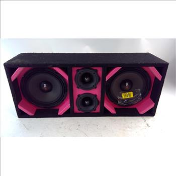 DS18 Pro Speakers With Box