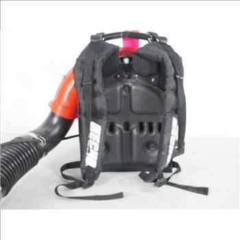 Echo Backpack Blower