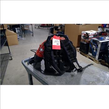 Echo Backpack Blower