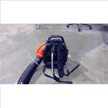 Echo Backpack Blower