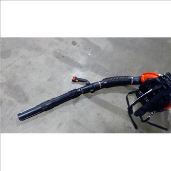 Echo Backpack Blower