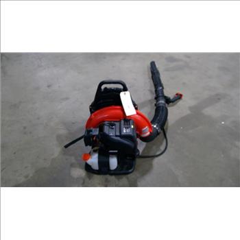 Echo Backpack Blower