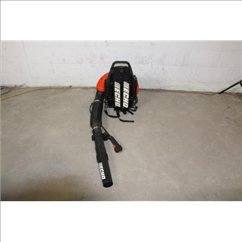 Echo Backpack Blower