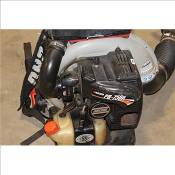 Echo Backpack Blower