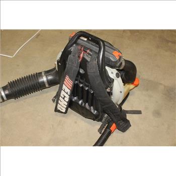 Echo Backpack Blower