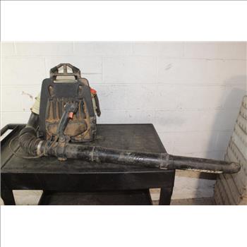 Echo Backpack Blower