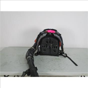 Echo Backpack Blower