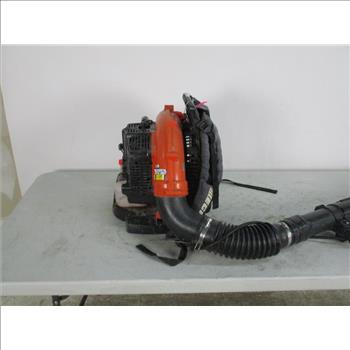Echo Backpack Blower