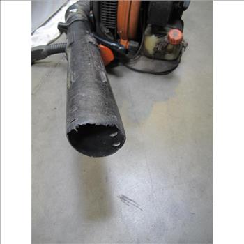 Echo Backpack Blower
