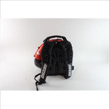 Echo Backpack Blower