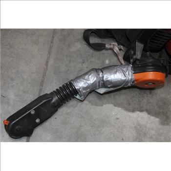 Echo Backpack Blower PB770H