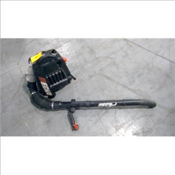 Echo Backpack Leaf Blower