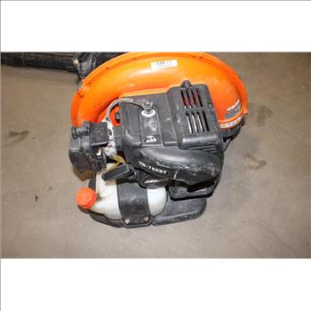 Echo Gas Backpack Blower