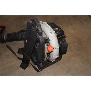 Echo Gas Powered Backpack Leaf Blower
