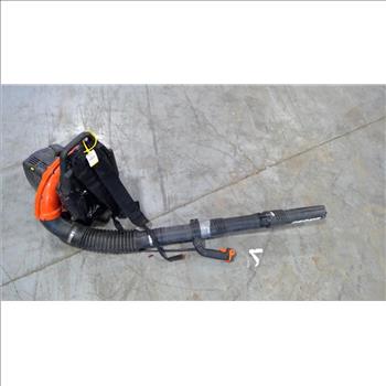 Echo Leaf Blower