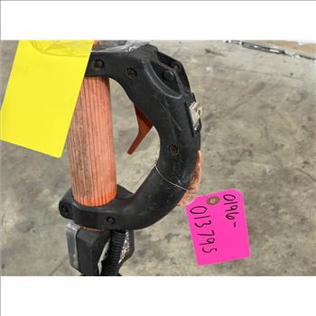 Echo Pole Saw